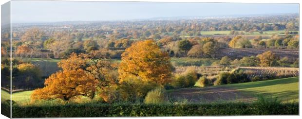 A view in Burwardsley Cheshire Canvas Print by sue davies