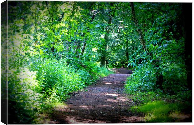 Forest Trail Canvas Print by Gail Surplice