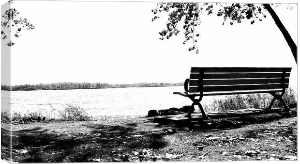  Beyond The Bench Canvas Print by Johnson's Productions