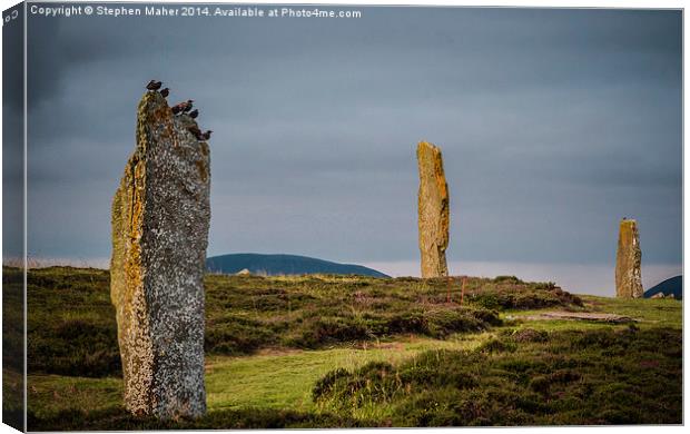 Birds on Orkney Standing Stone Canvas Print by Stephen Maher