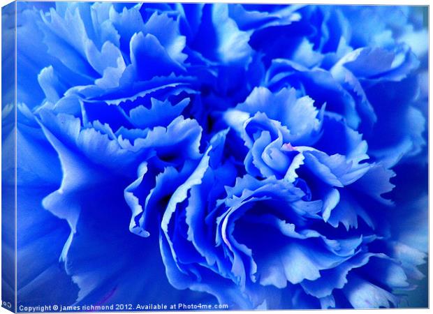 Blue Carnation Ruffle Canvas Print by james richmond