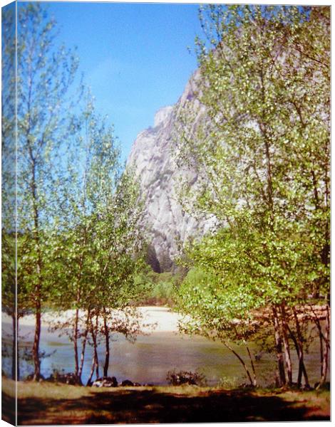 Yosemite Valley Canvas Print by james richmond