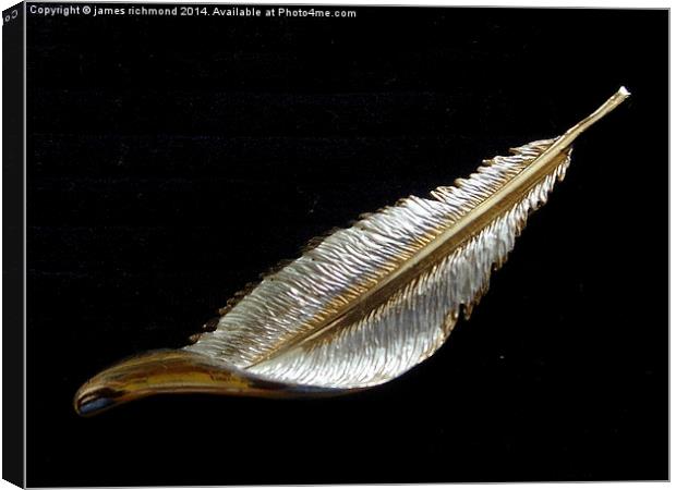 Feather on Black Canvas Print by james richmond
