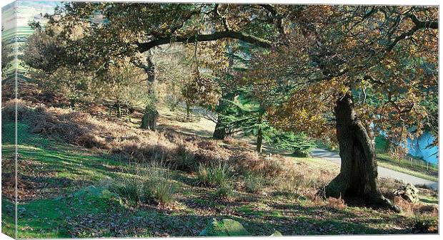 Under the Old Oak Canvas Print by james richmond