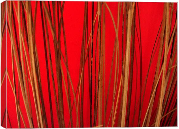 Cane on Red Canvas Print by james richmond
