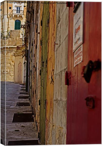 doors Malta Canvas Print by jane dickie