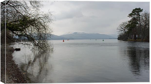 Balloch Canvas Print by jane dickie