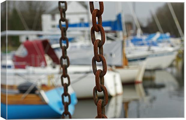 chains and boats Canvas Print by jane dickie