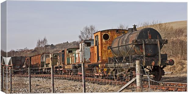 old and forgotten train Canvas Print by jane dickie