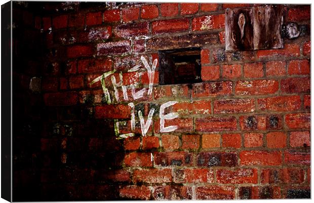 Graffiti old bricks Canvas Print by jane dickie