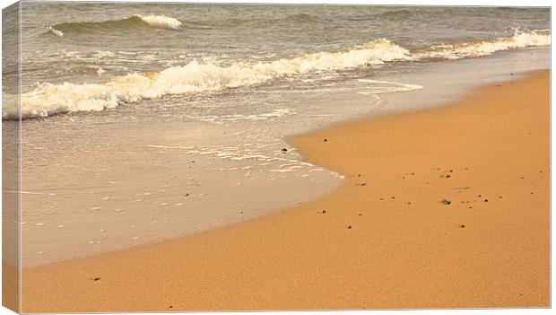 relax and unwind with the sand and the tide Canvas Print by jane dickie