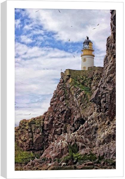 Lighthouse on Bass rock Canvas Print by jane dickie