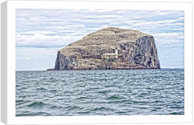 enchanting Bass rock Canvas Print by jane dickie