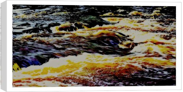 The river Canvas Print by jane dickie