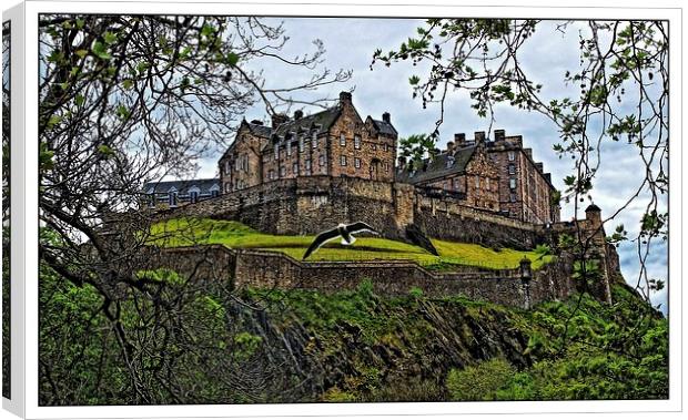 Edinburgh castle Canvas Print by jane dickie
