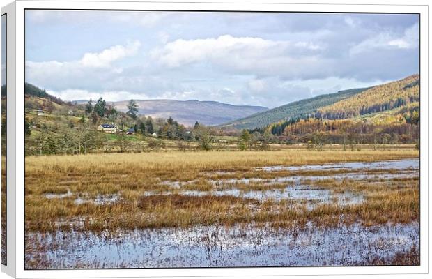  Balquhidder  Canvas Print by jane dickie