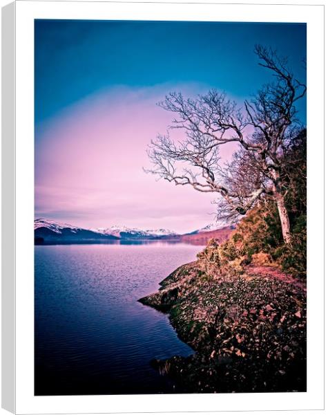 winter on the loch Canvas Print by jane dickie