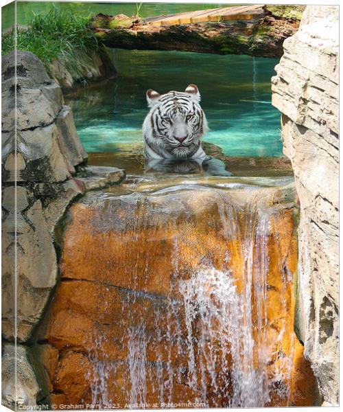 Icy Cascade's Solitary Tiger Canvas Print by Graham Parry