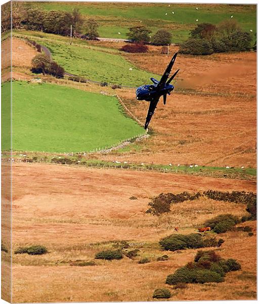 Soaring Resilience: Hawk Jet Training Canvas Print by Graham Parry