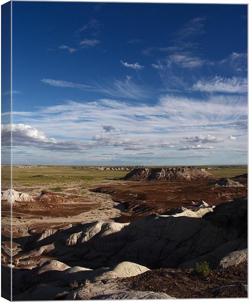 Painted Desert Canvas Print by Thomas Grob