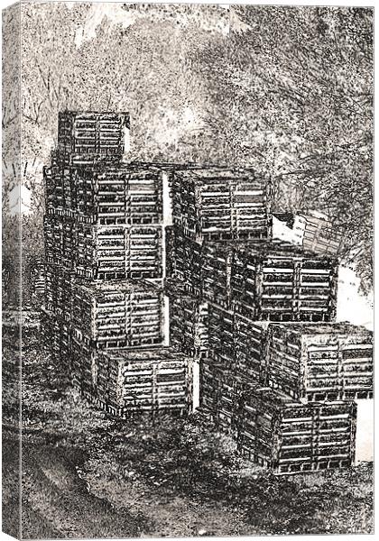 Fishing Net Crates Canvas Print by Thomas Grob