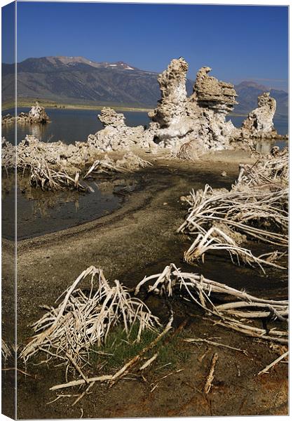USA. California. Mono Lake. Lee Vining. Sierra Nev Canvas Print by Josep M Peñalver