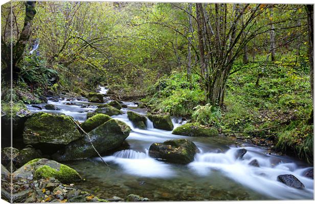 wild mountain river Canvas Print by Josep M Peñalver