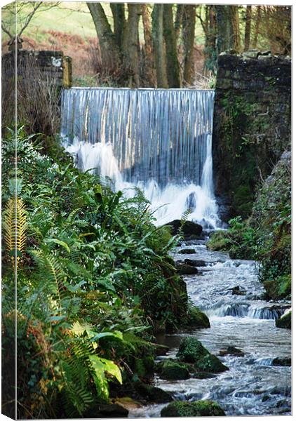 River with Waterfall Canvas Print by Alex Hughes