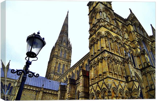 Salisbury Cathedral Canvas Print by Oliver Firkins
