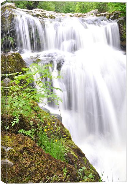 Aira Force Canvas Print by Oliver Firkins