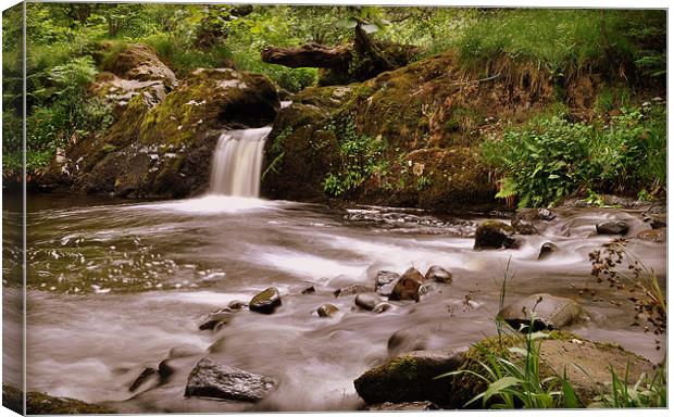 Aira Force 3 Canvas Print by Oliver Firkins