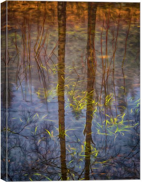 Reflections Of Nature Canvas Print by Clive Eariss