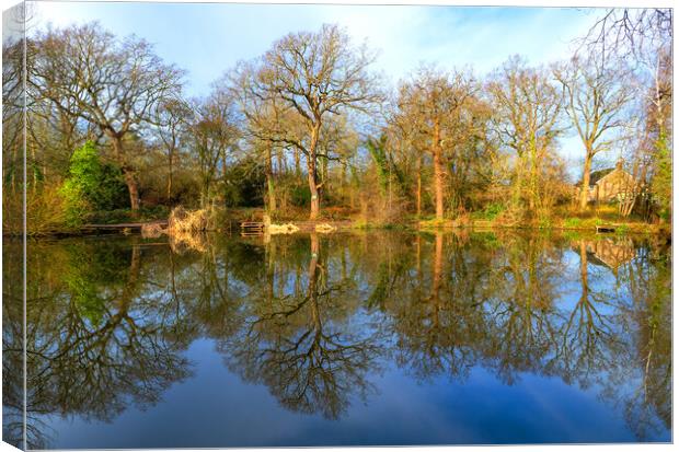 Peaceful Pond Canvas Print by Clive Eariss