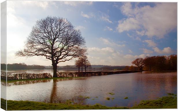 Winter Floods In Cobham Canvas Print by Clive Eariss