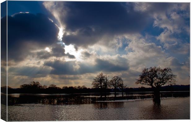 COBHAM FIELD FLOOD Canvas Print by Clive Eariss