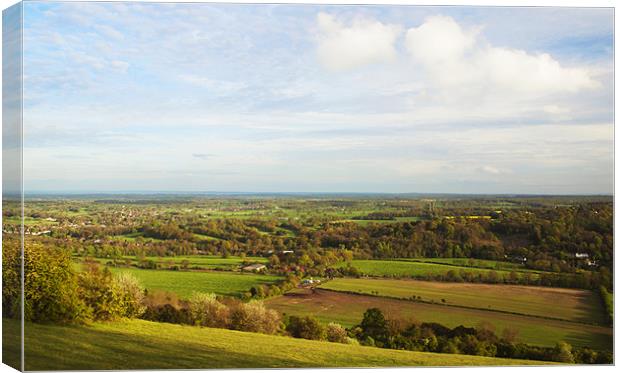 BOX HILL VIEW POINT Canvas Print by Clive Eariss