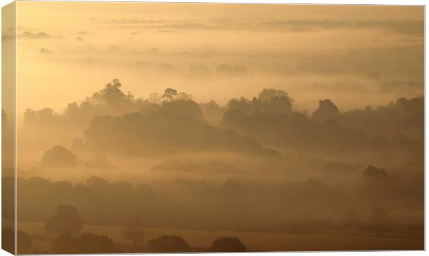 Box Hill Mist Canvas Print by Clive Eariss