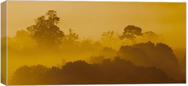 Mist At Box Hill Canvas Print by Clive Eariss