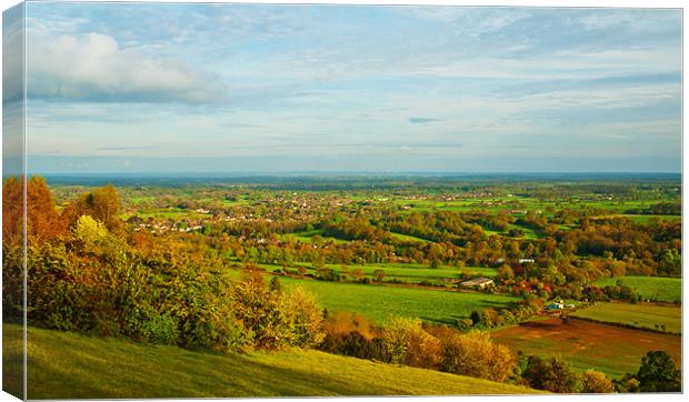 Box Hill View Canvas Print by Clive Eariss