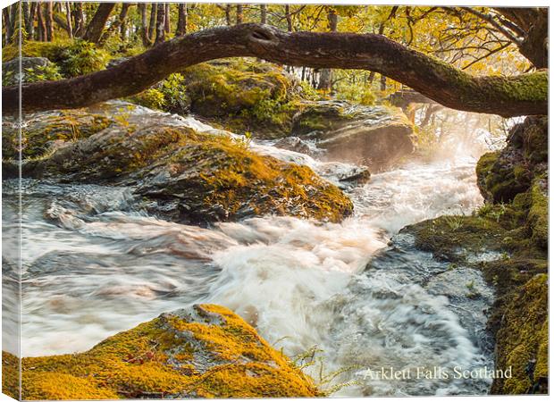 Arklett Falls Scotland Canvas Print by Clive Eariss