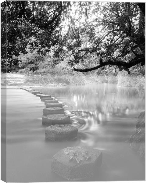 STEPPING STONE MIST Canvas Print by Clive Eariss