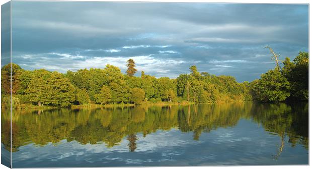 Old Bury Hill Lake Reworked Canvas Print by Clive Eariss
