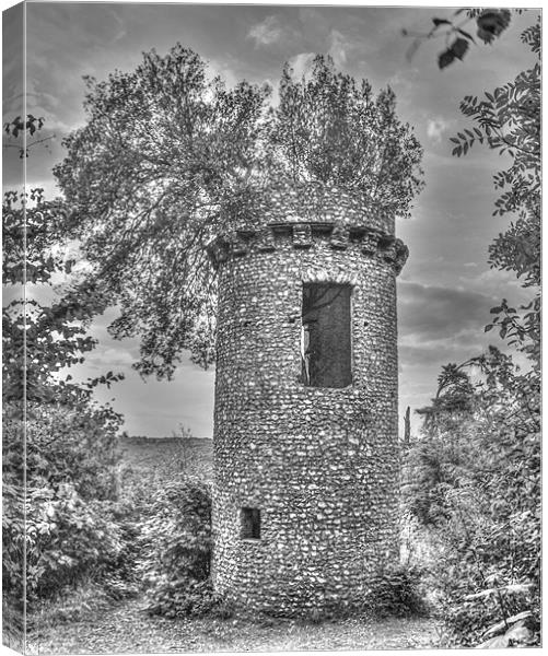 Broadwoods Folly Box Hill Surrey Canvas Print by Clive Eariss