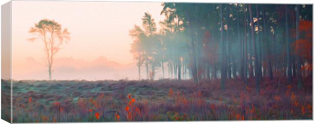First Light Wisely Common Canvas Print by Clive Eariss