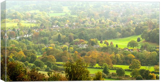 Box Hill View Point Canvas Print by Clive Eariss
