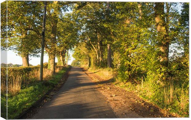 Country Road Cobham Surrey Canvas Print by Clive Eariss