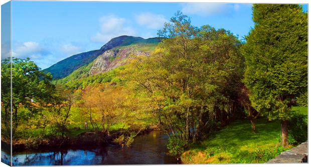 Scotland Canvas Print by Clive Eariss