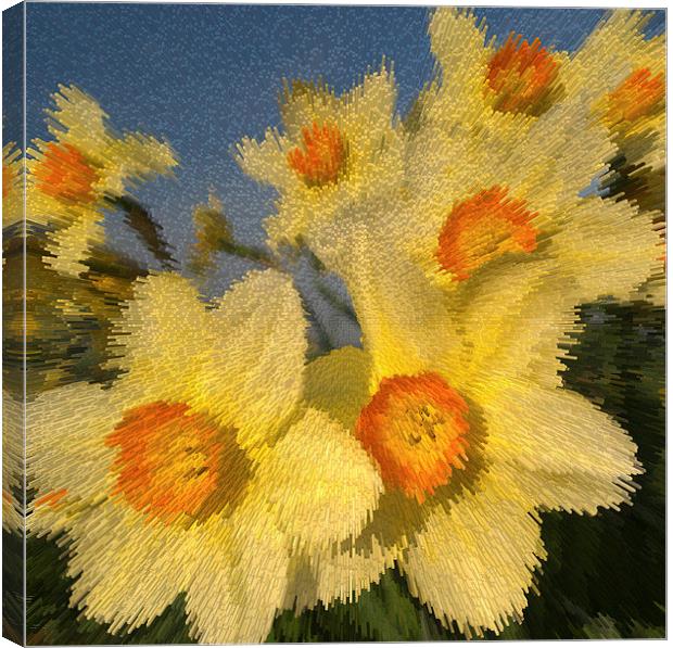 SPRING TIME FLOWERS Canvas Print by Clive Eariss