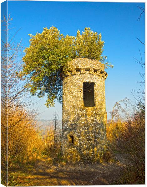 BROADWOODS FOLLY BOX HILL SURREY Canvas Print by Clive Eariss