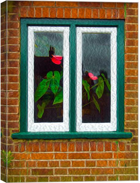 Though The Window Canvas Print by Clive Eariss